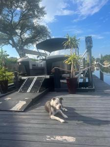 Accessible, Canal Front Property, with SWIM SPA