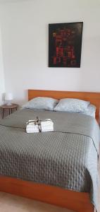 Appartements Coeuilly village parisien Champigny sur Marne : photos des chambres