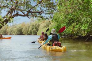 Paraiso Presidential 20 -Ocean View Penthouse And Digital Nomad Haven