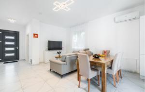 Amazing Apartment In Nedescina 