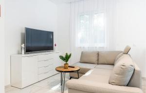 Amazing Apartment In Nedescina