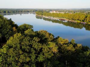 Forest Mansion Retreat