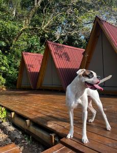 Chalés Surfside Maresias