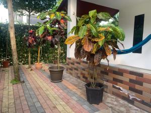 Suite Bosques de Olon