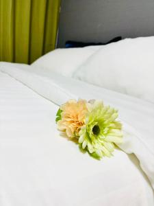 RED House｜12 minutes from the station｜Quiet area｜Direct access to Shinjuku & Akihabara