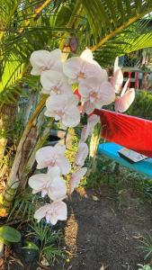 Finca El Mirador - Agroturismo