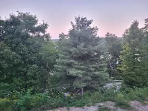 Terry Hill Little Lodge - Crosby