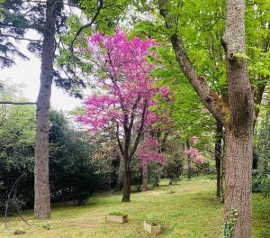 Grande maison proche Carcassonne 10 p piscine spa sauna Le Grand Chalet Bellevue