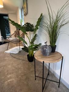 Cottage entier 4 pers - Cosy Atmosphere en bord de mer - 60 m2