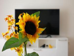 Comfy Nikic Apartments