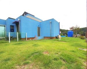 Yeoncheon Jjongi and Mary Pet Friendly Pension