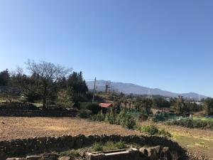 Jeju Teracehill Pension