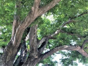 Namhae Celties Pension