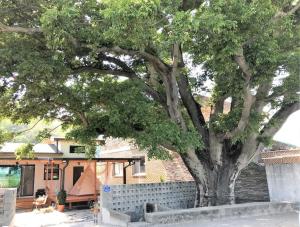 Namhae Celties Pension