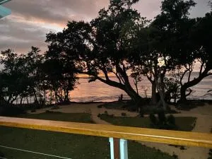 Mele Magic - Меле