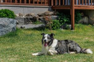 Yeoncheon Bowbow Aegyeon Pension