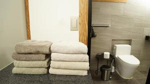 Andong Happy Pet World Pension