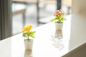 Daebudo Artico Private Pension