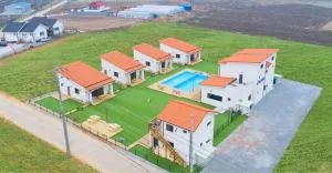 The Stay Gold Dog - Yesan