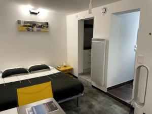 Appartements Studio de 25m carre refait a neuf, proche tram B et fac : photos des chambres