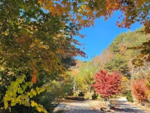 Danyang Haneulmaru Private Pension