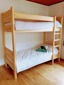 Apartma Discovering Slovenia