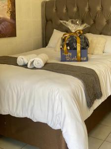 Whizzy lifestyle lodge