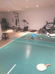 Depto de lujo céntrico PISCINA COCHERA Y DESAYUNO