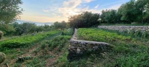 Beachfront House Nella with full privacy