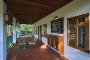 Curly wood by Cluster cloud