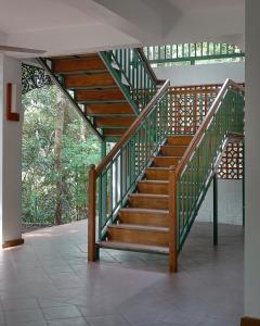 Curly wood by Cluster cloud