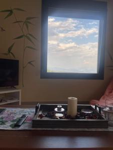 House with view