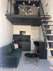 Black and white loft apartment - Vydmantai