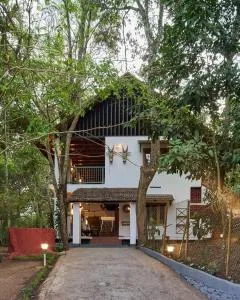 Curly wood by Cluster cloud - Vandiperiyār