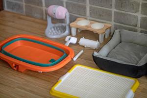 Kyeongju JS Pet Poolvilla