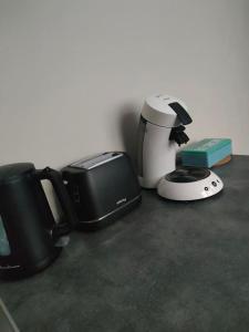 RDC 1 chambre-centre-ville-terrasse