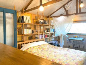 Jeju shooting star collection center