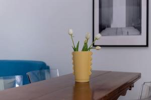 Cikki Apt