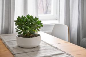 Cute&Light Apartment, Vilnius City Centre