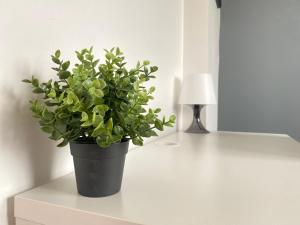 Au dessus du jardin - 185