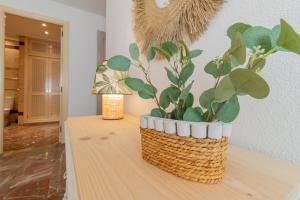 Apartamento Aloha Ohana Córdoba