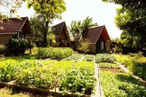 Buon'S garden - Ðức Lập