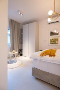 Trubarjeva City apartments