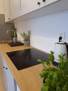 Mieszkanie w centrum Gdyni SW 135L