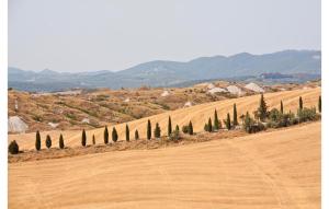 Stunning Apartment In Ville Di Corsano