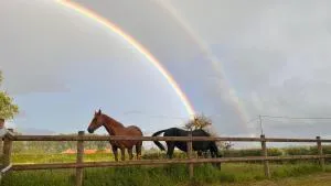 la laiterie - La Gorgue