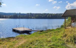 Nice Home In Gunnarskog With Lake View