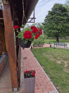 PETRA kuća za odmor