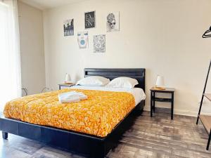 F3 Centre- Ville Lafayette avec garage