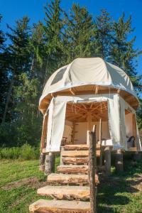 Tentes de luxe Dome en pleine nature : photos des chambres